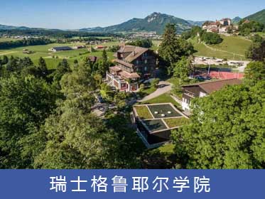 格鲁耶尔学院 Institut La Gruyere